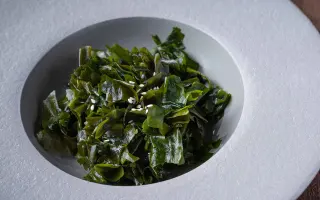 WAKAME SU