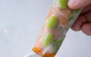 VIETNAMESE SALMONE