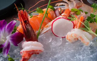 SASHIMI KANJI SPECIALE