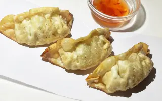 GYOZA CROCCANTE 3PZ