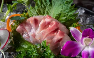 SASHIMI SUZUKI