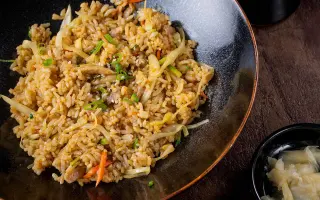 TORI  MESHI